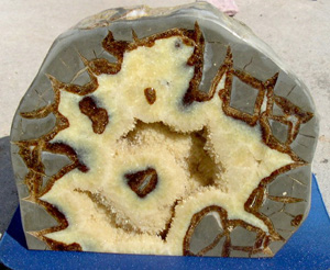 septarian nodule